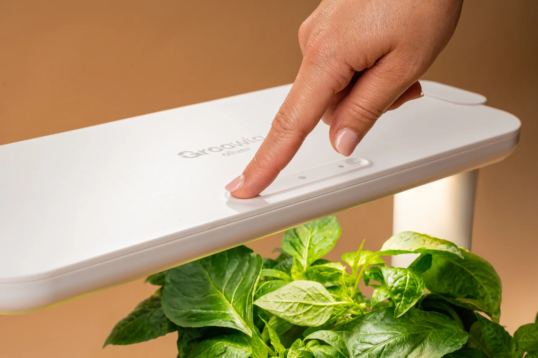 Light that benefits your plants and you